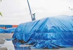 Phân bón ứ đọng, doanh nghiệp nhập khẩu kêu trời! ảnh 2